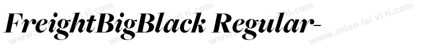 FreightBigBlack Regular字体转换